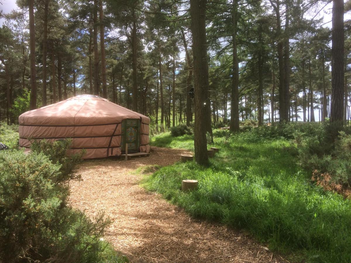 Penbedw Uchaf Estate - Rural Retreats, Tennis Mold Exterior photo